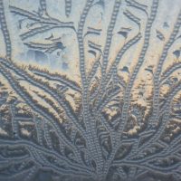 Laundry – Carol Langstaff Photographs